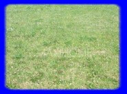 Development site Camoel