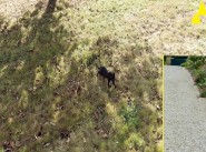 Development site Locmine