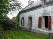 House Elliant