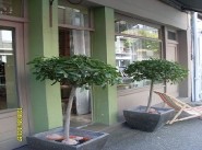 Office, commercial premise Lorient