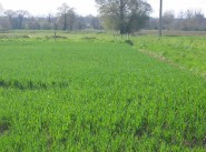 Purchase sale development site Trelivan