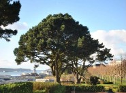 Purchase sale farmhouse / country house Bohars