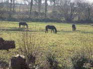 Purchase sale farmhouse / country house Plonevez Porzay