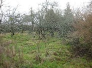 Real estate Riec Sur Belon